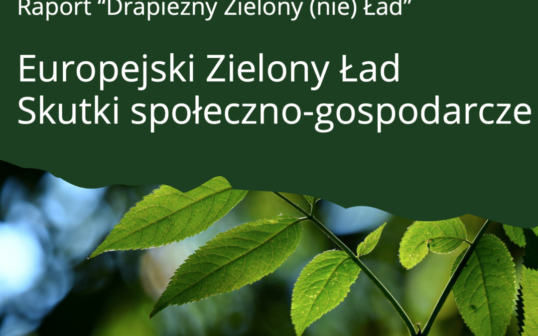 Raport “Drapieżny Zielony (nie) Ład”